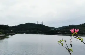 Immortal Lake
