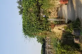 Fruit And Melon Park
