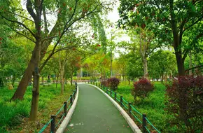 Peace Park
