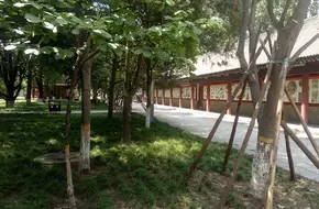 Xixiao Ting