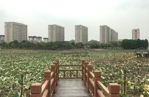 Haitianhu Park