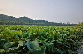 Yiyun Jilu