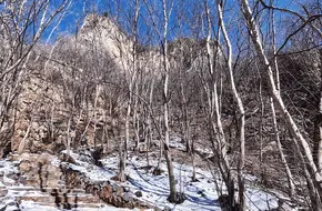 Shangweidian Village