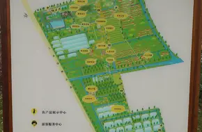 Heqing Park