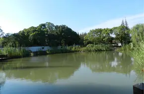 Yingzhou Park