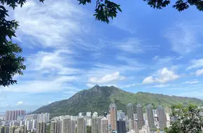 Nine Mountain Directly