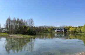 Jinhai Wetland Park
