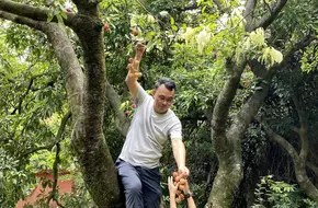 Bao Shan Garden
