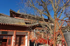 Yunlongjian Natural Scenic Area - Dayunfeng Chan Temple