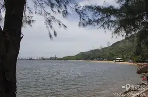 Butterfly Bay Swimming Beach