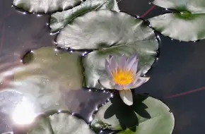 Hundred Flowers Hall