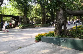 Shenzhen Safari Park Rare Bird Street