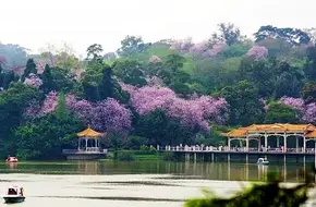 Luhu Park