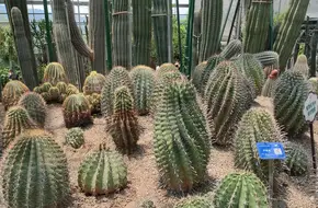 Nanshan Botanic Garden - Greenhouse Exhibition Center