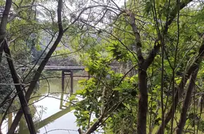 Dalang Greenway Orchard