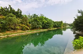 Bijiashan Park-View Lake Pavilion