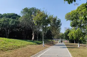 Longgang Wetland Park