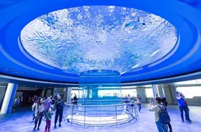 Antarctic Penguin Pavilion