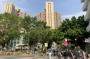 Damingli Square