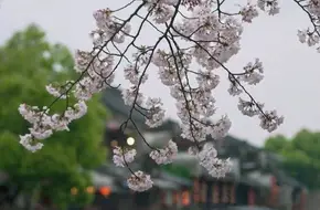 Xitang