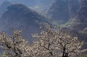Xinghuang