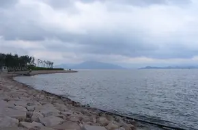 Shekou Waterfront