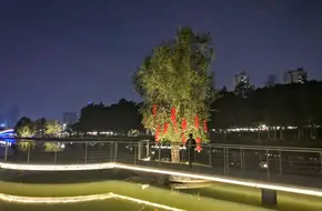 Pingshan New District Central Park