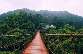 Geleshan National Forest Park
