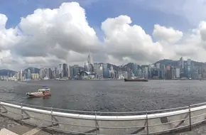 Golden Bauhinia Square