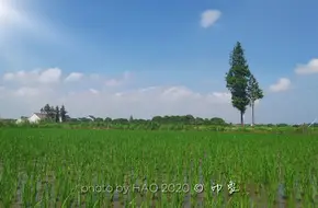 Zhuanghang Rural Tourism Scenic Area