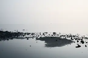 Shenzhen Bay Park Sunrise Theatre
