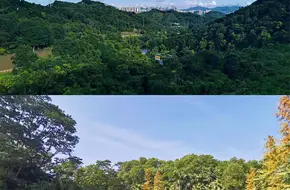 Longhua Ring City Greenway
