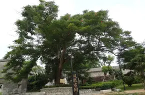 Phoenix Ancient Village