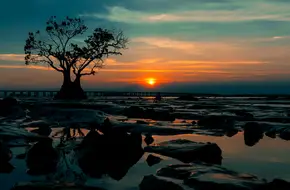 Bao'An West Bay Mangrove Park