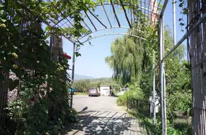 Gaoyangxiu Farm