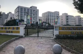 Future Island Park