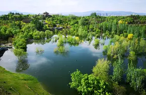 Yuanboyuan Ginkgo Avenue