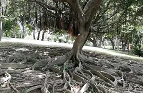 Tuen Mun Park