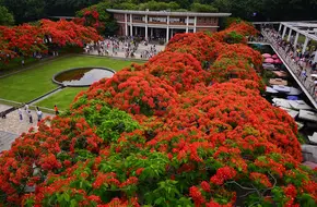 OCT Ecological Square