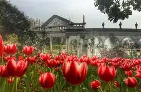 Yuntai Garden