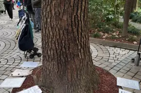 Dating Corner