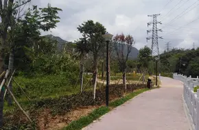 Futian Park