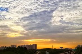 Xiangcheng Wetland Ecological Park