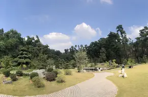 Shenzhen Xianhu Botanical Garden Expert Forest