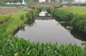 Suyu Party Amusement Resort