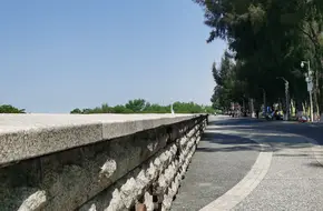 Bao'An Xiwan Mangrove Park - Ecological Dry Creek