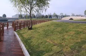 Pudong Rule Of Law Theme Park