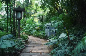 Orchid Garden