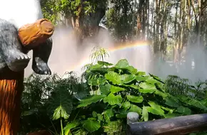 Rapids Adventure