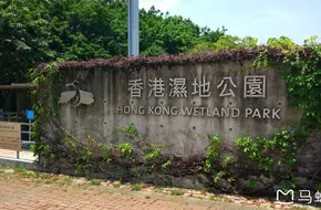 Hong Kong Wetland Park
